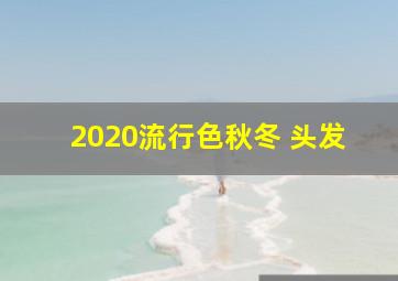 2020流行色秋冬 头发